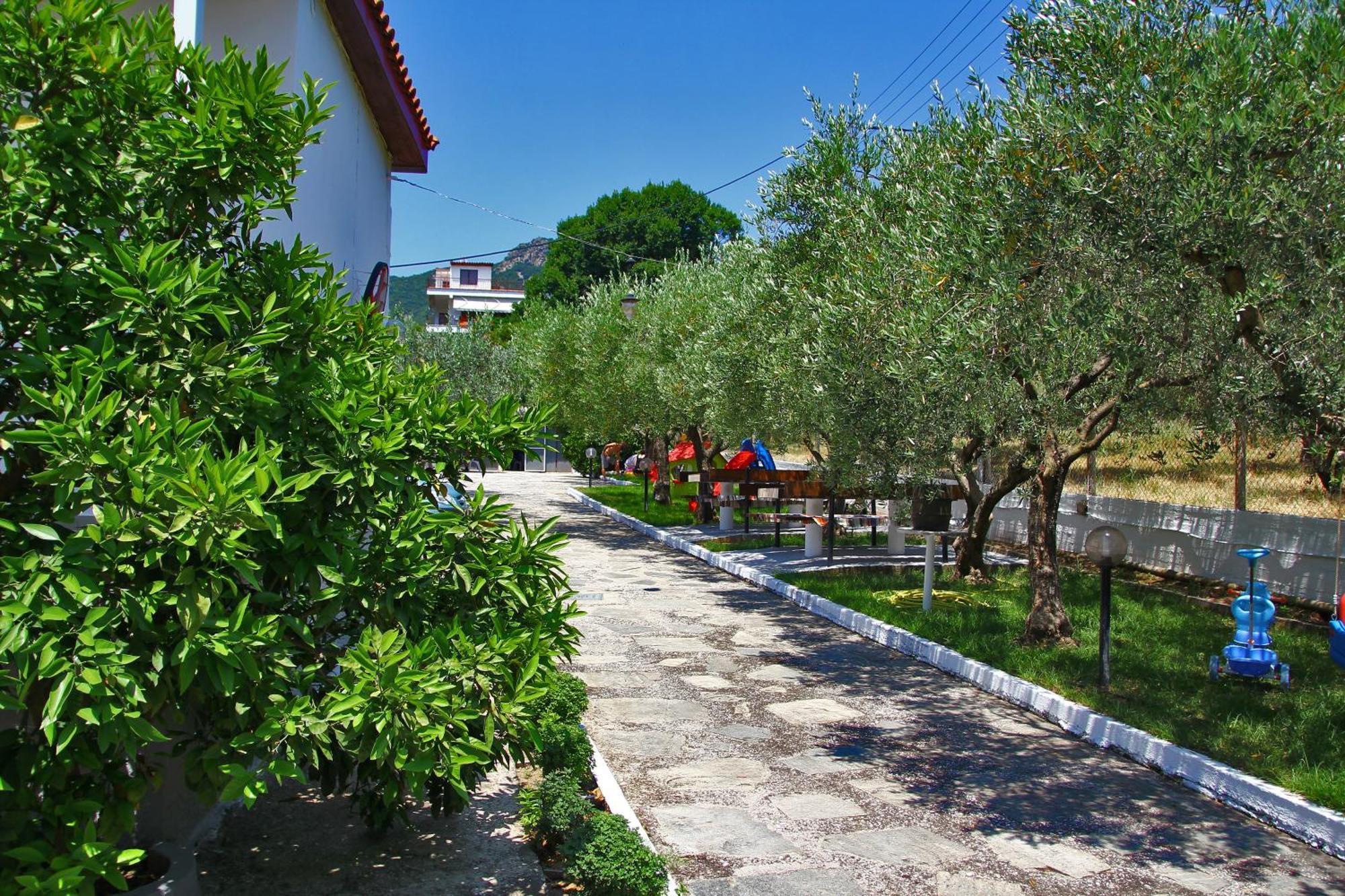 PalaiónTsiflíkion Dimos Bungalows מראה חיצוני תמונה