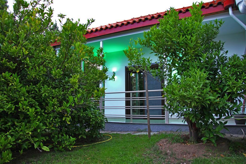 PalaiónTsiflíkion Dimos Bungalows מראה חיצוני תמונה