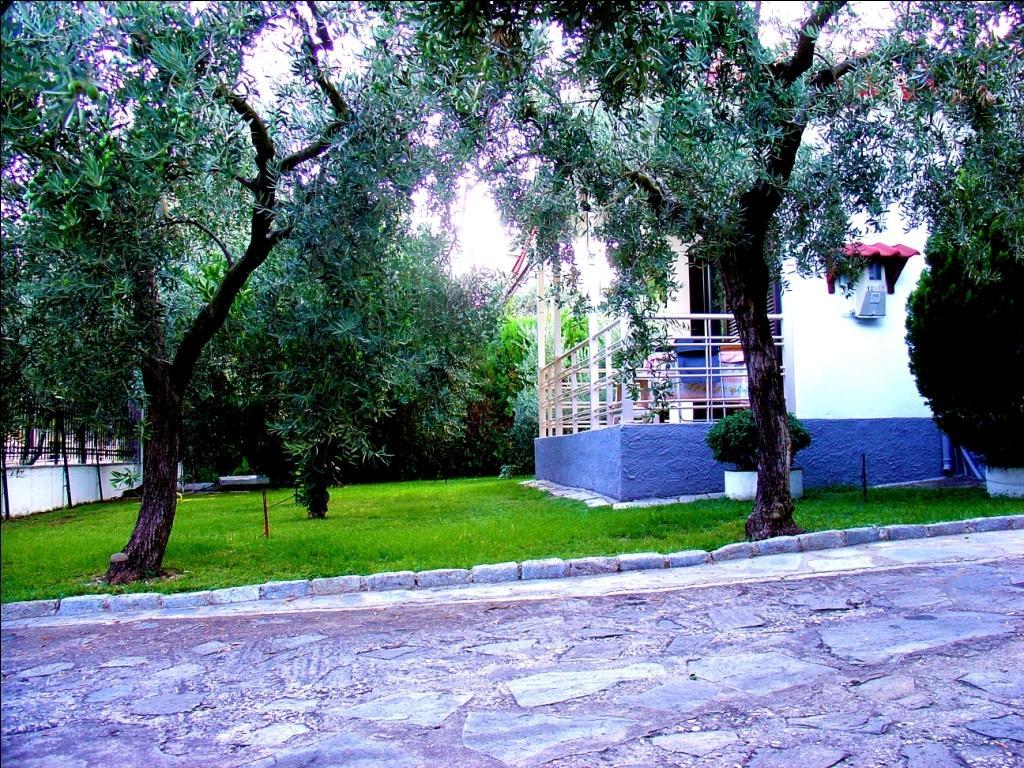 PalaiónTsiflíkion Dimos Bungalows חדר תמונה
